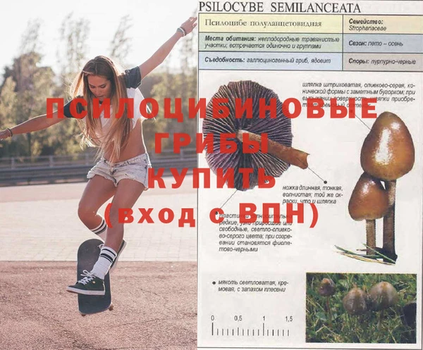 прущая мука Волосово