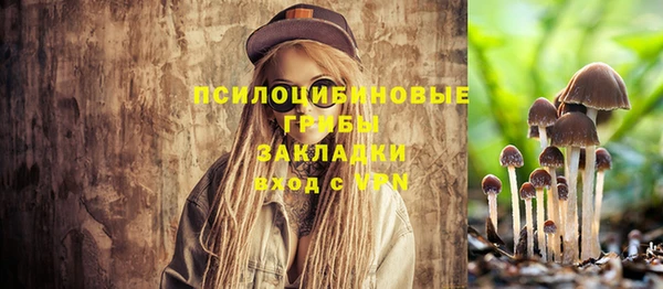 бошки Волоколамск