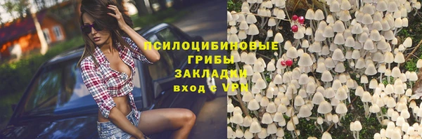 бошки Волоколамск