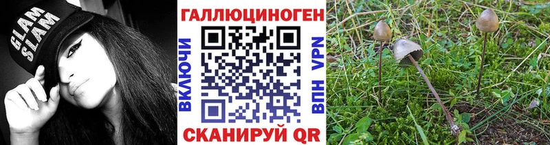 что такое наркотик  мега ссылки  Псилоцибиновые грибы мицелий  Пушкино 